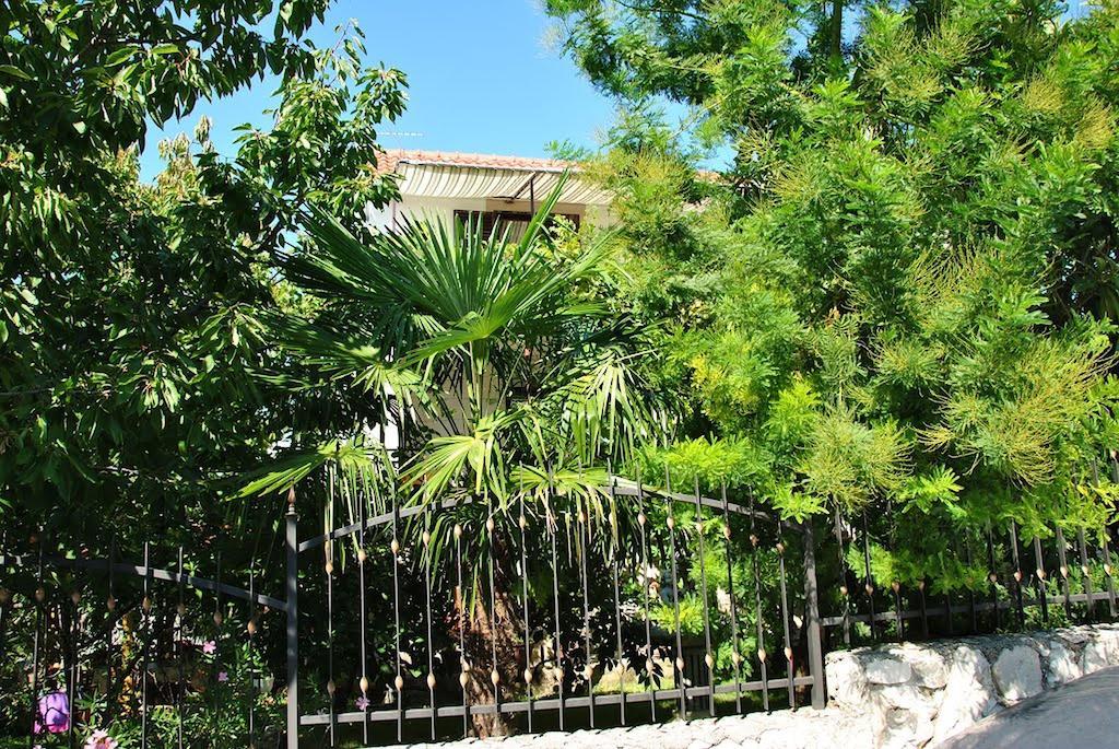 Apartment Zvonar Donji Okrug  Dış mekan fotoğraf