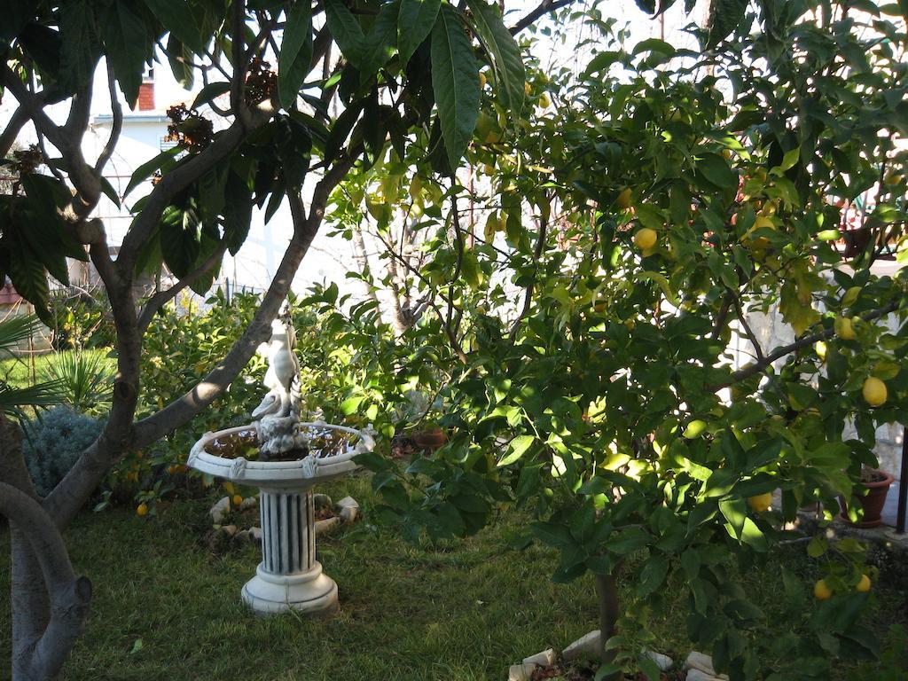Apartment Zvonar Donji Okrug  Dış mekan fotoğraf