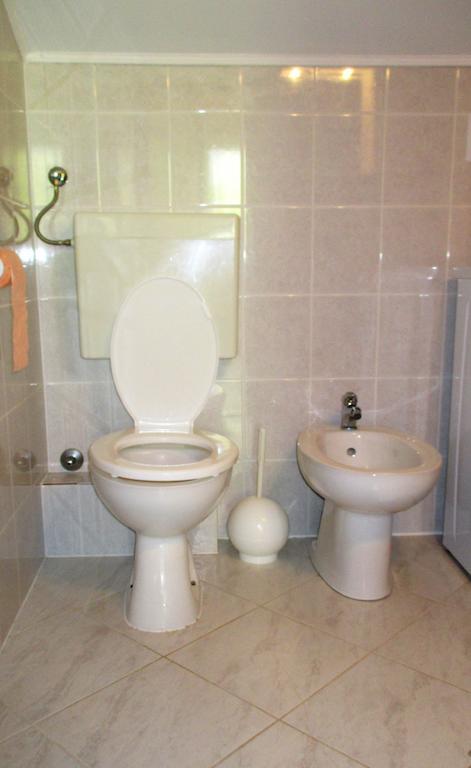 Apartment Zvonar Donji Okrug  Dış mekan fotoğraf